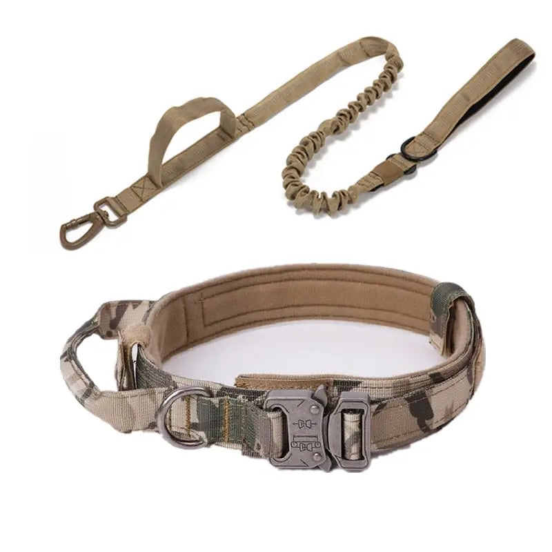 Collier pour Malinois