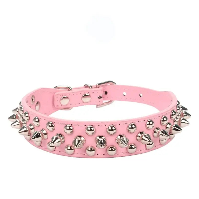 Collier pour American Staff