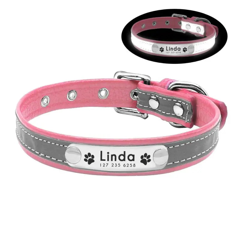 Collier pour chien et chat lumineux