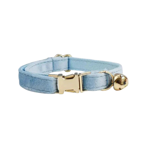 Collier pour chien en velours bleu avec des ferrures dorées, résistant à l’usure de Durable Velvet Cat Collar Transparent Background