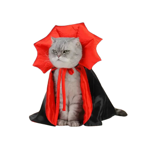 Costume de chat vampire pour Halloween : Amusement et confort pour votre star féline Transparent Background