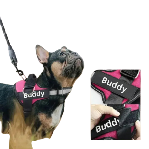 Harnais rose personnalisé au nom de Buddy pour un confort et une sécurité inégalés Transparent Background