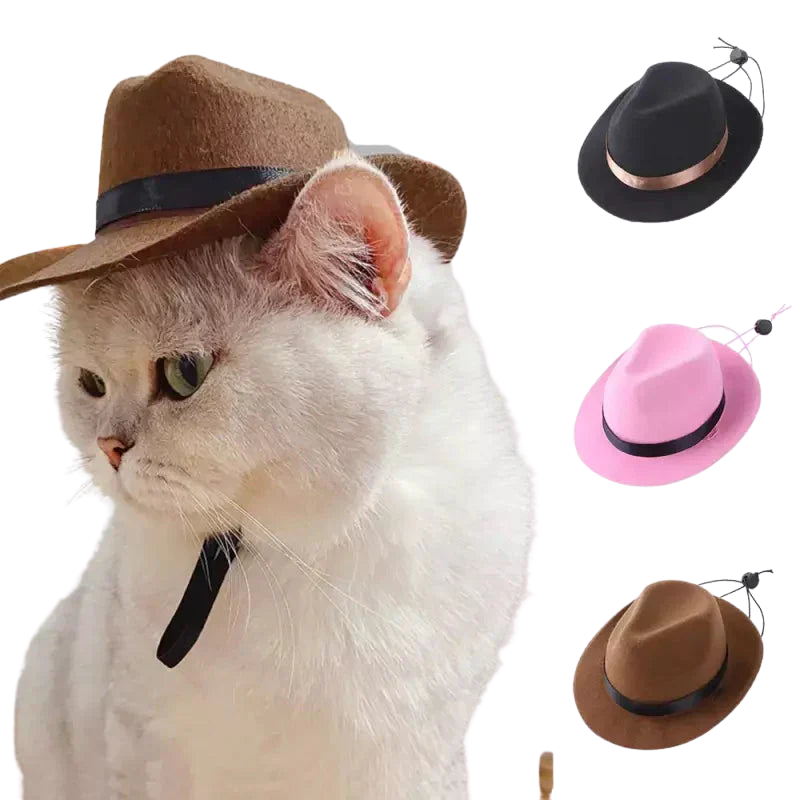 Chat portant un chapeau de cow-boy et une cravate, mettant en valeur le chapeau Fun Cowboy Hat for Animals Transparent Background