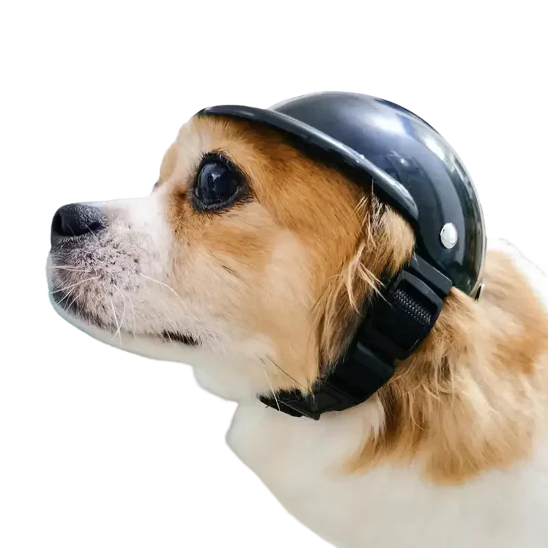 Chien portant un casque de moto noir de la collection Casque de moto pour animaux Transparent Background