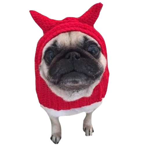 Bonnet pour Chien Diable au Crochet Transparent Background