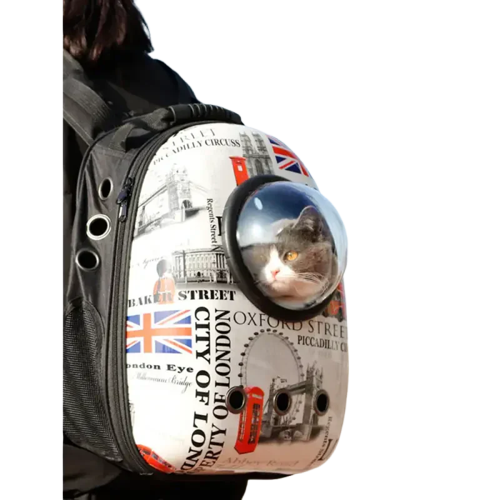 Personne portant un sac à dos transparent pour chat : Vue panoramique et confort pour la vue des animaux de compagnie Transparent Background