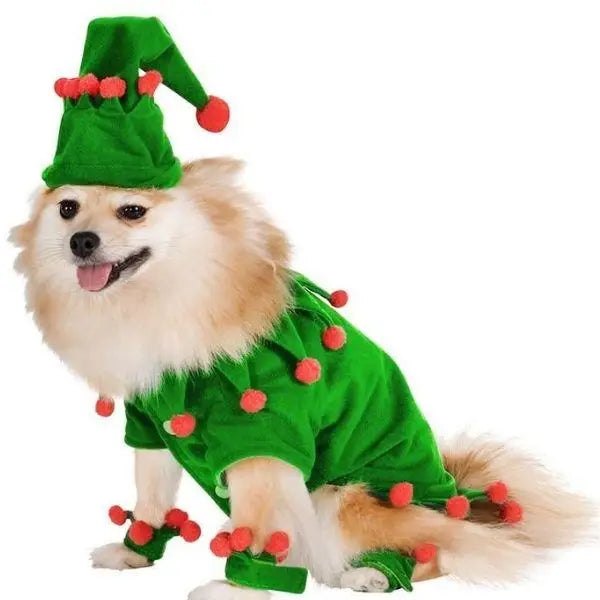 Bonnet pour Chien & Costume Lutin de Noël