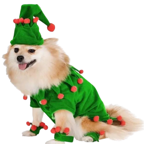 Bonnet pour Chien & Costume Lutin de Noël Transparent Background