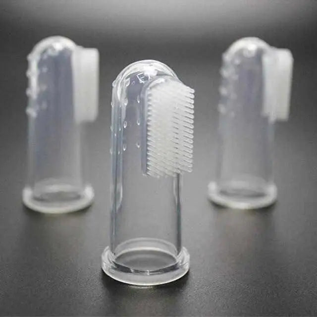 Brosse À Dents Pour Chien / Chat