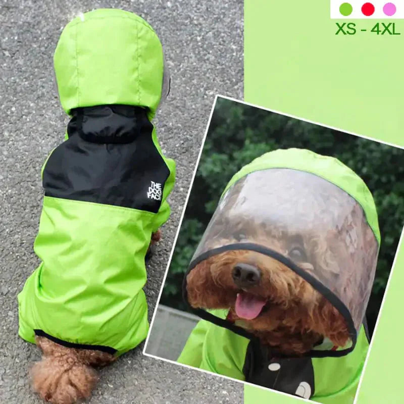 Chien portant un imperméable vert avec capuche transparente pour chiens - Protection optimale