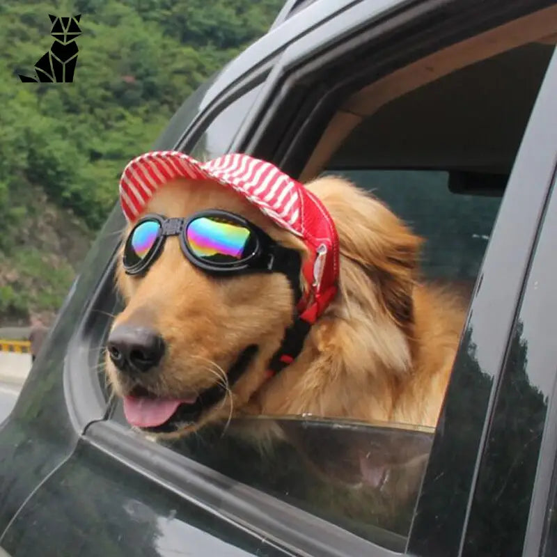 Casquette pour Chien Motard Rétro