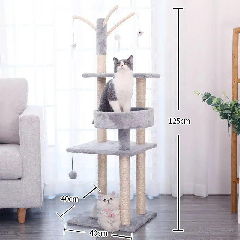 Gros plan d’un chat sur Catree arbre à chat, assurant le bonheur et le confort de votre chat