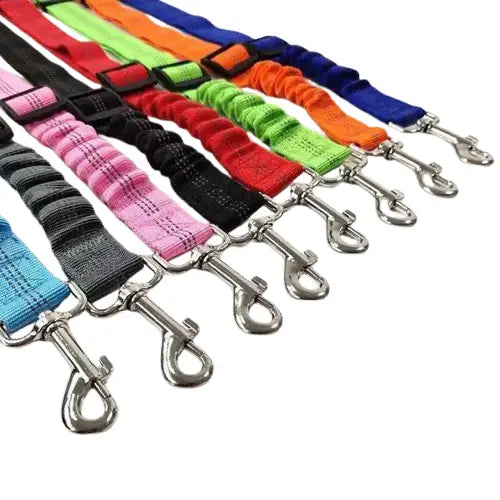 Ceinture De Sécurité Pour Chiens en Nylon Élastique Transparent Background