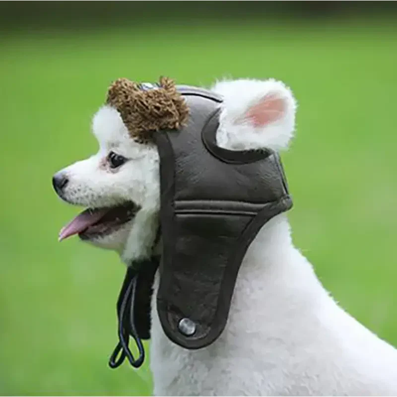 Chien portant un élégant chapeau de luxe pour chien touche pour les jours ensoleillés