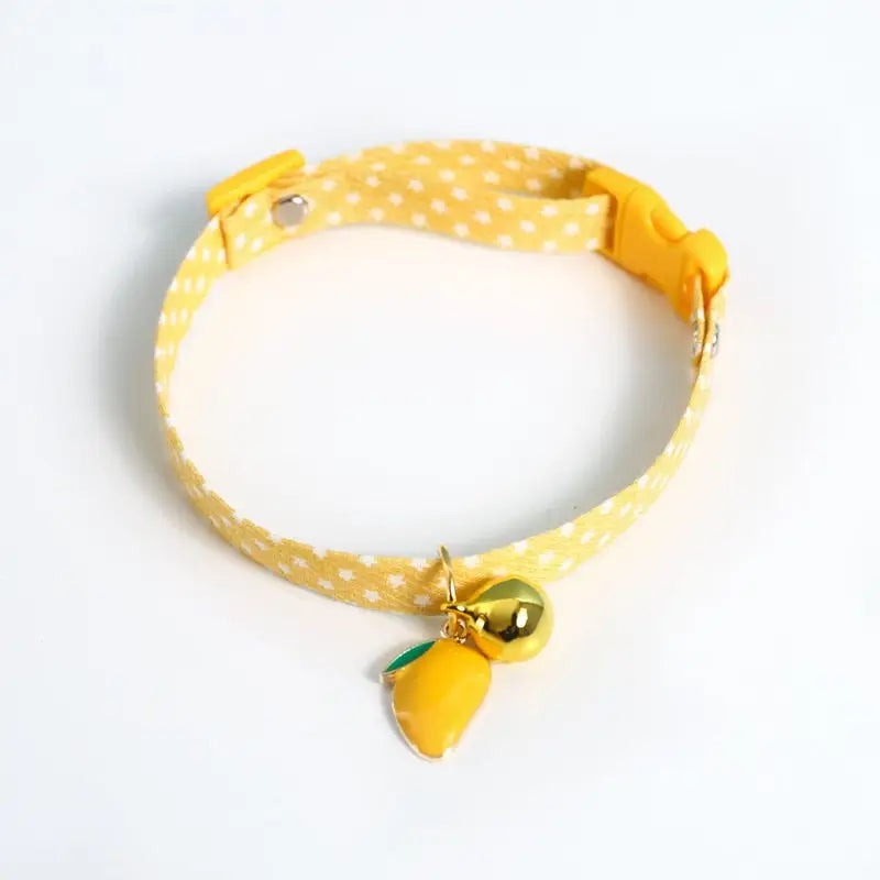 Collier pour chat original