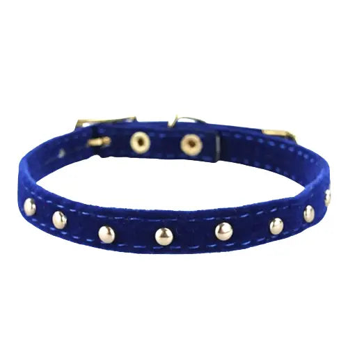 Collier pour chaton et chat chic