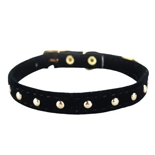 Collier pour chaton et chat chic