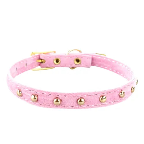Collier pour chaton et chat chic