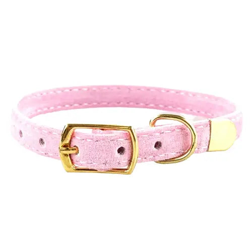 Collier pour chaton et chat chic