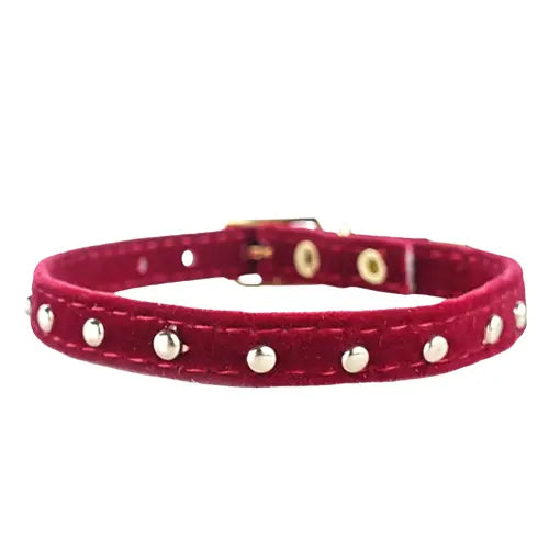 Collier pour chaton et chat chic