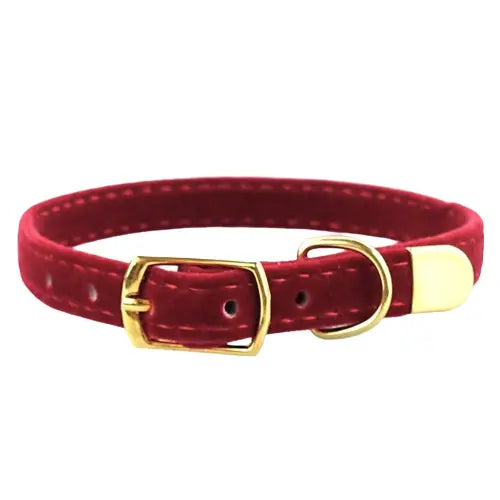 Collier pour chaton et chat chic