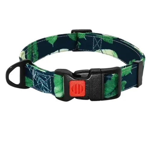 Collier Chien En Nylon Avec Laisse Transparent Background