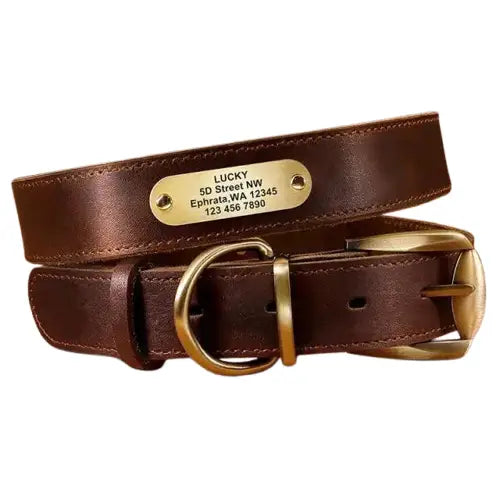 Collier Chien En Cuir Personnalisable Transparent Background