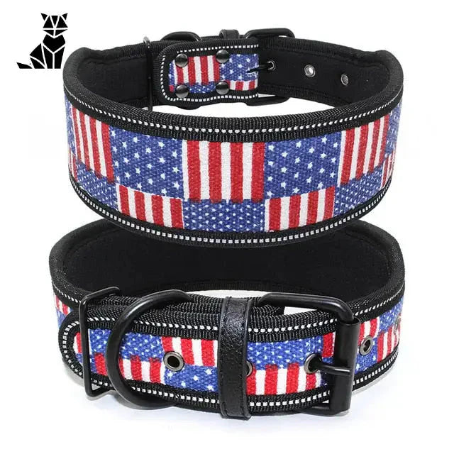 Collier pour American Bully