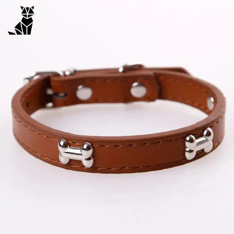 Collier pour Beagle