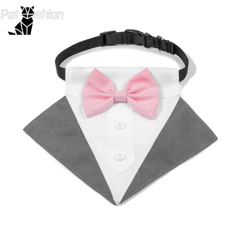 Collier de chien papillon nœud rose chic - gros plan du nœud papillon sur une chemise blanche