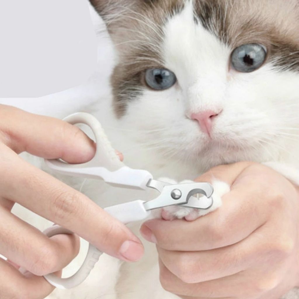 Coupe ongles pour chat