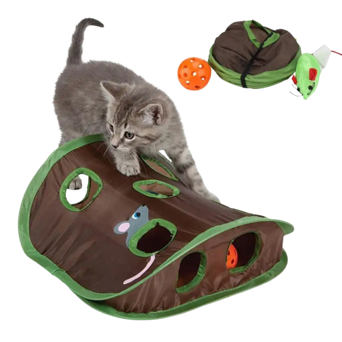 Jouet interactif pour chat stimulant l’instinct naturel : chaton jouant avec le jouet dans le lit du chat Transparent Background