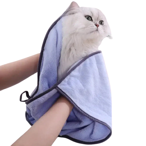 Chat assis sur une serviette de séchage rapide pour chat dans la salle de bain Transparent Background