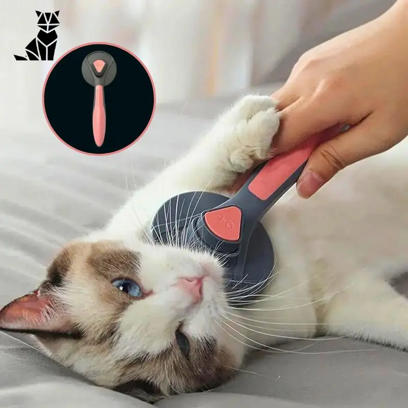 Brosse pour chat | CatBrush™