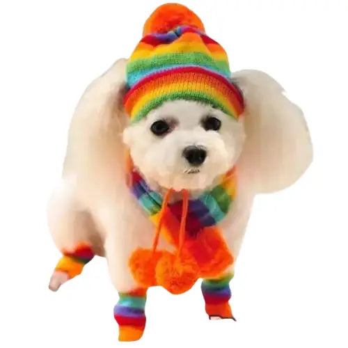 Bob pour Chien d’Hiver (chapeau + écharpe + chaussettes) Transparent Background