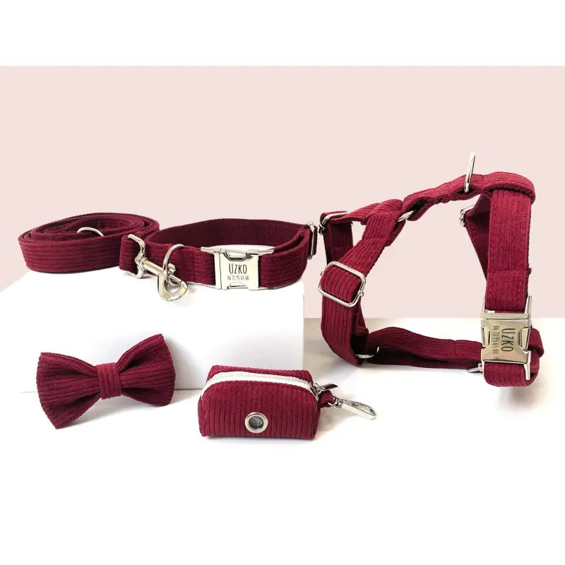Kit Complet Chien Personnalisé Velours Côtelé Bordeaux