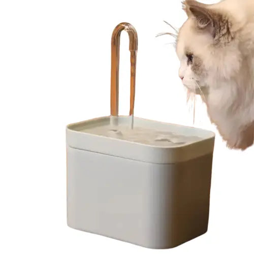 Chat buvant de l’eau dans une fontaine automatique Transparent Background