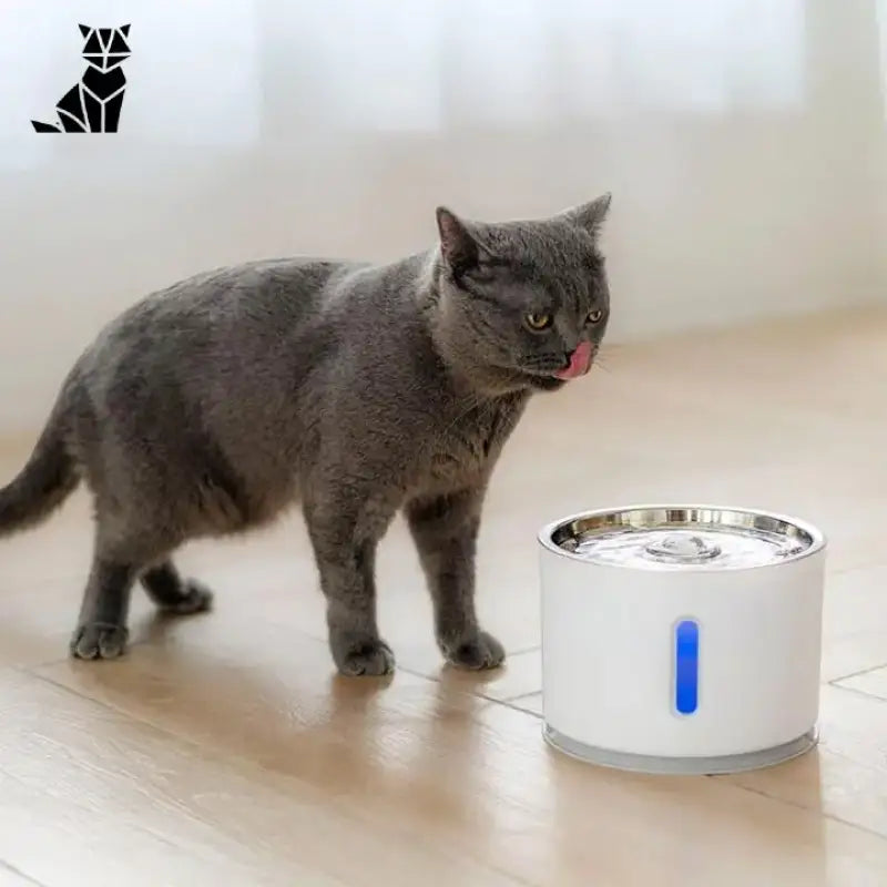 Fontaine à Eau Fraiche Pour Chat Avec Lumière Led Intelligente