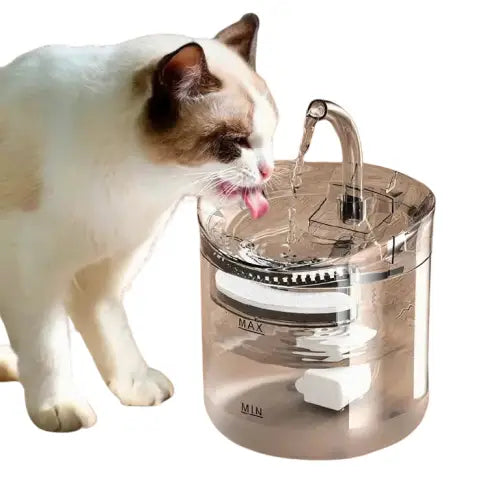 Fontaine à eau pour chat | AquaMiaou™ Transparent Background