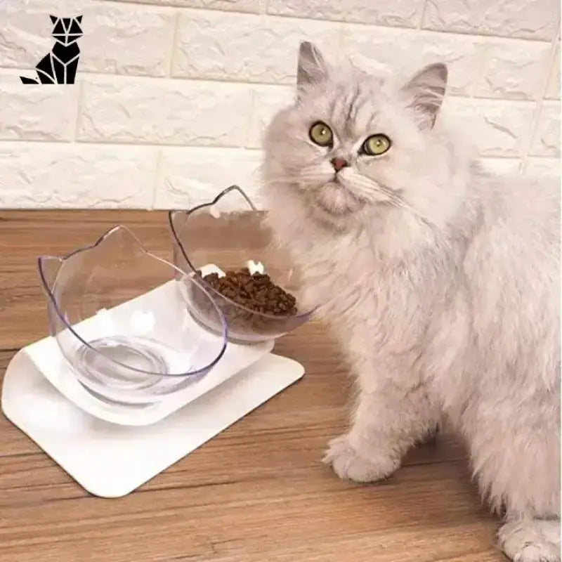 Gamelle Anti-renversement Pour Chat: Fini Le Désordre à Table!