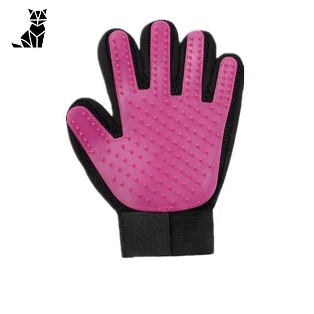 Gant De Toilettage Pour Animaux