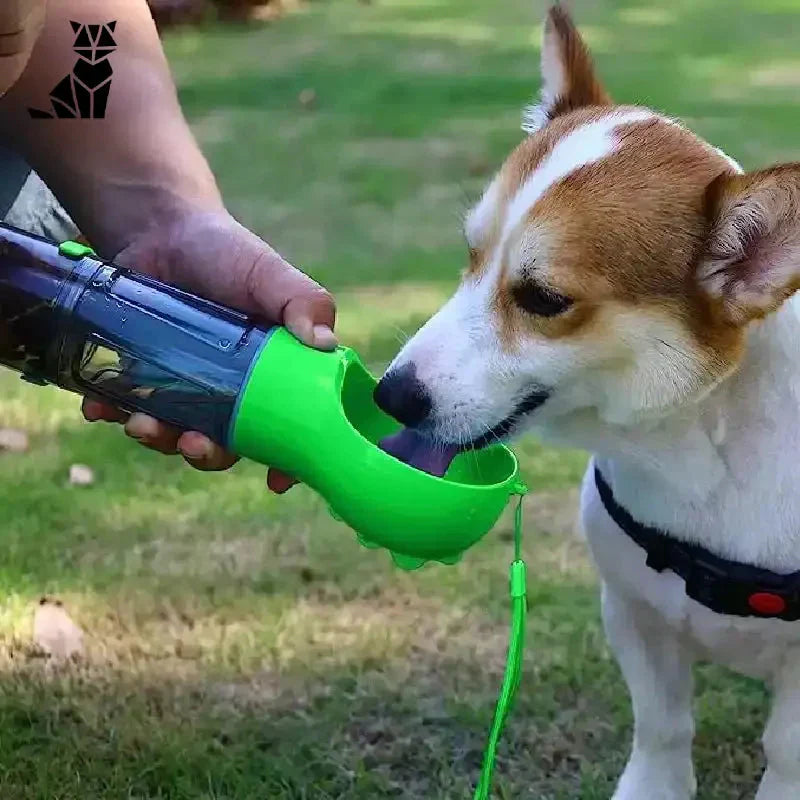 Personne nourrissant un chien à l’aide d’un biberon multifonction 3 in 1 pour chiens - gourde multifonction, solution pratique