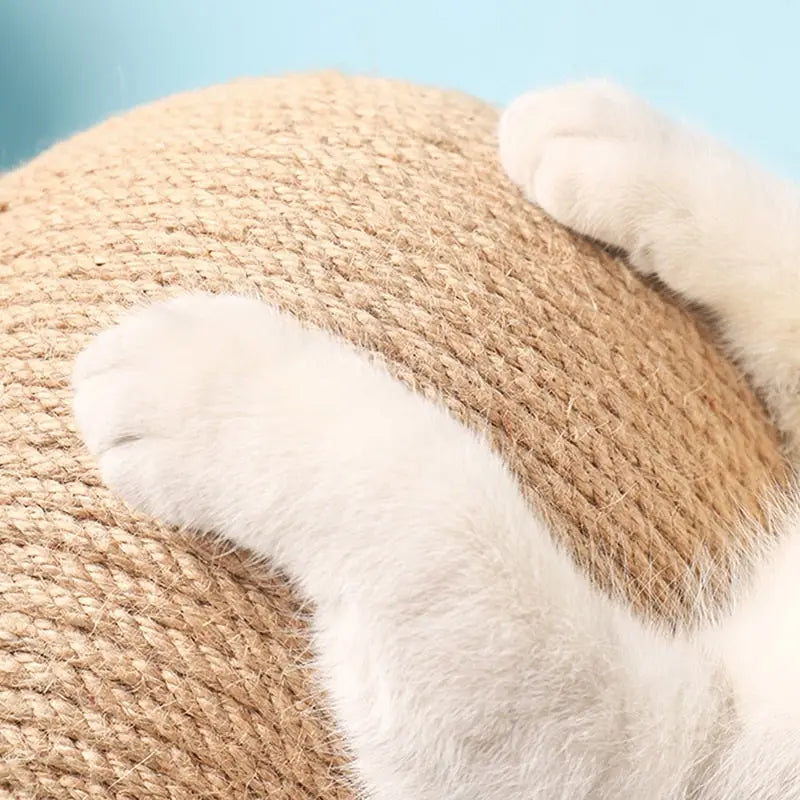 Griffoir en bois massif avec un chat endormi, parfait pour la détente et le jeu de l’animal