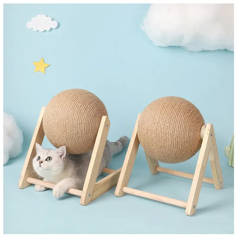 Chat jouant avec une balle sur un griffoir en bois massif|Bois Massif Pet Toy for Animals