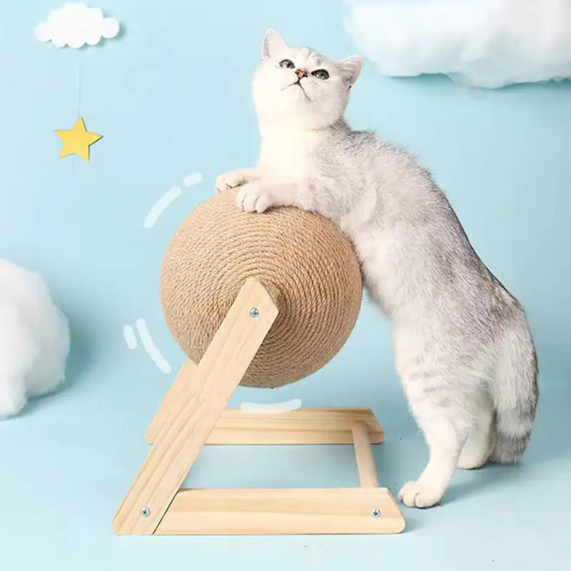 Chat sur le dessus du griffoir en bois massif, support en bois massif pour animaux et animaux de compagnie