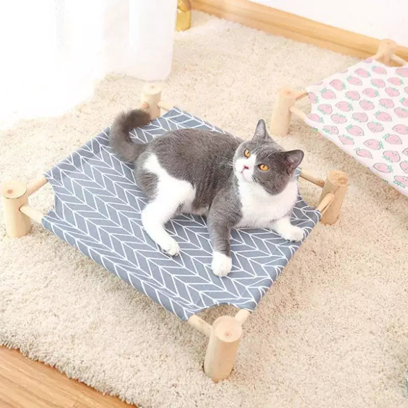 Chat se prélassant dans un hamac en bois durable sur un tapis douillet