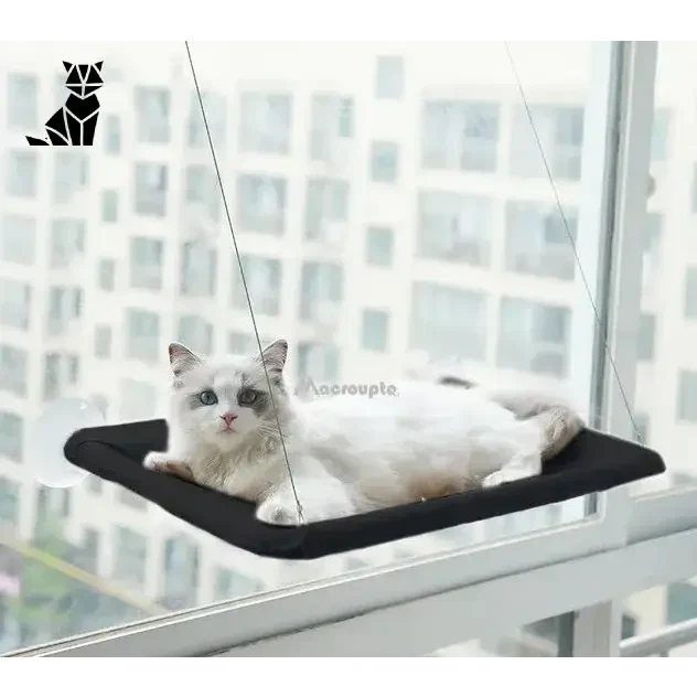 Chat se relaxant sur le rebord de la fenêtre dans le Hamac mural pour chats, parfait pour les animaux