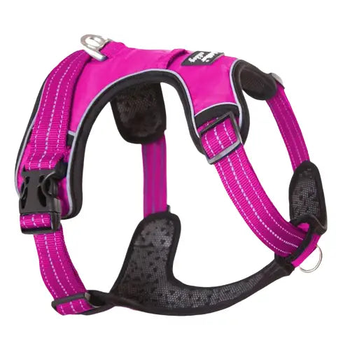 Harnais pour Galgo