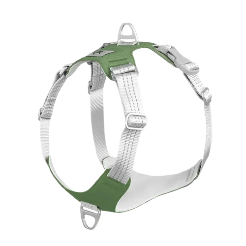 Harnais pour Dogue Allemand Transparent Background