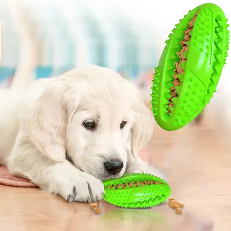 Chien s’amusant avec un jeu éducatif en caoutchouc naturel, avec un jouet en forme de balle en arrière-plan